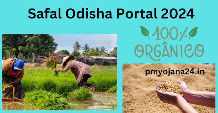 Safal Odisha Portal 2024